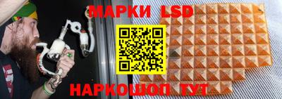 ГАЛЛЮЦИНОГЕННЫЕ ГРИБЫ Краснознаменск